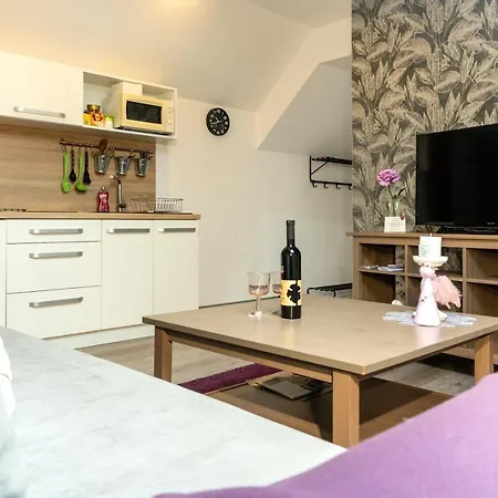 Apartmany Nisa * Nová Lesná