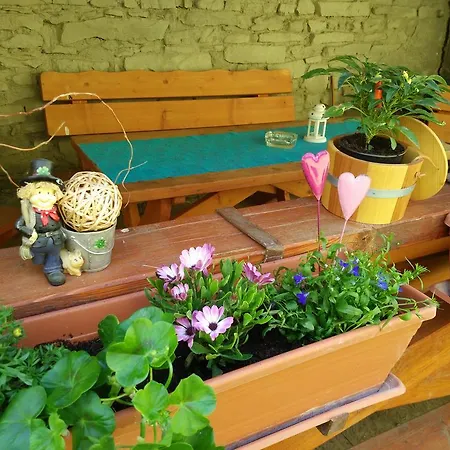 Apartament Nisa *